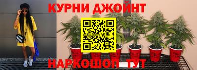 амф Новозыбков