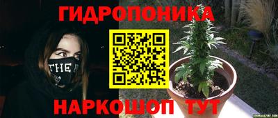 марки nbome Новокубанск