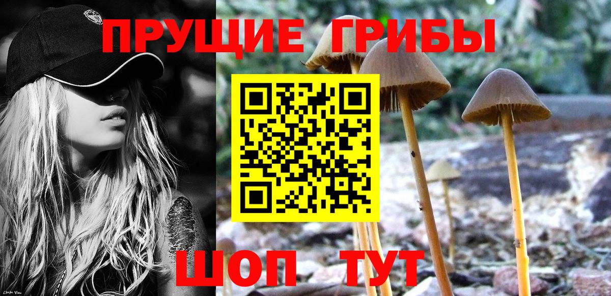 Псилоцибиновые грибы прущие грибы  Галлюциногенные грибы Magic Shrooms  Вход с VPN  Сыктывкар 